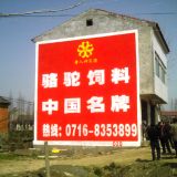 湖北荆州喷绘膜广告  墙体广告 走进乡村