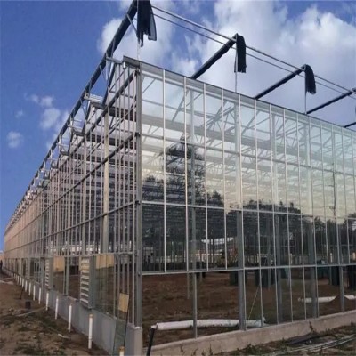 智能连栋玻璃温室无土栽培种植蔬菜水果大型会议中心图2