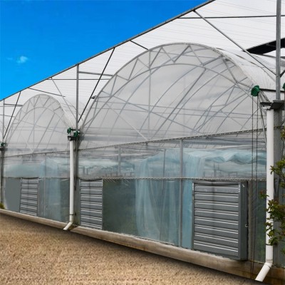连体双拱双模薄膜温室大棚简易花卉育苗基地 昌越温室