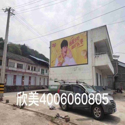 宜昌宜都乡村墙体广告发布荆州江陵喷绘广告图3