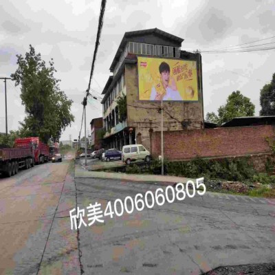 宜昌宜都乡村墙体广告发布荆州江陵喷绘广告图1
