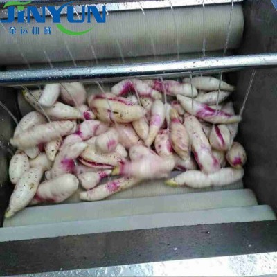 土豆红薯毛辊清洗机 莲藕大姜毛刷清洗去皮设备图1