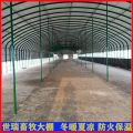 建设养牛大棚工程 牛舍大棚搭建 肉牛养殖大棚施工规划