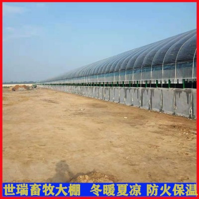 建设养牛大棚工程 牛舍大棚搭建 肉牛养殖大棚施工规划图2