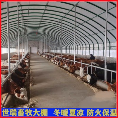 智能牛舍大棚安装 肉牛养殖大棚建设 养牛大棚规划施工图5