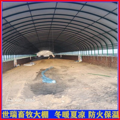 大型养牛场牛棚施工 肉牛养殖大棚建设 牛舍大棚安装厂家图5