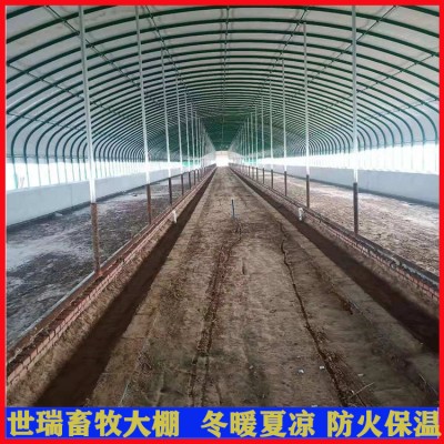 建设养牛大棚工程 牛舍大棚搭建 肉牛养殖大棚施工规划图5