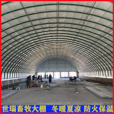 养羊大棚设备施工 羊舍大棚建设 肉羊养殖大棚搭建图5