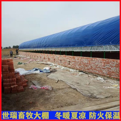 大型养牛场牛棚施工 肉牛养殖大棚建设 牛舍大棚安装厂家图1